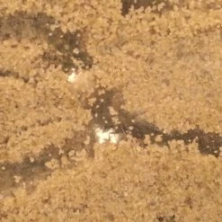 New 😉 My Living World Ant Kit 🛒 -Hobbycraft Shop 583063 1000 3 my living world ant kit