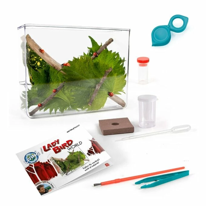 Flash Sale ๐ My Living World Ladybird World ๐ 2 Flash Sale ๐ My Living World Ladybird World ๐ - Image 2