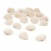 Top 10 ✔️ Hobbycraft Natural Craft Shells 20 Pack ⭐