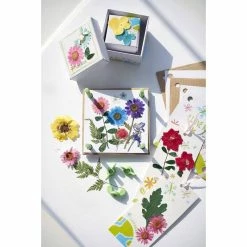 Coupon 💯 4M Pressed Flower Art 🔥 -Hobbycraft Shop 656891 1000 3 pressed flower art