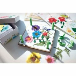 Coupon 💯 4M Pressed Flower Art 🔥 -Hobbycraft Shop 656891 1000 5 pressed flower art