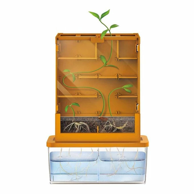 Top 10 🤩 4M Green Science Grow-a-Maze 🌟 2 Top 10 🤩 4M Green Science Grow-a-Maze 🌟 - Image 2